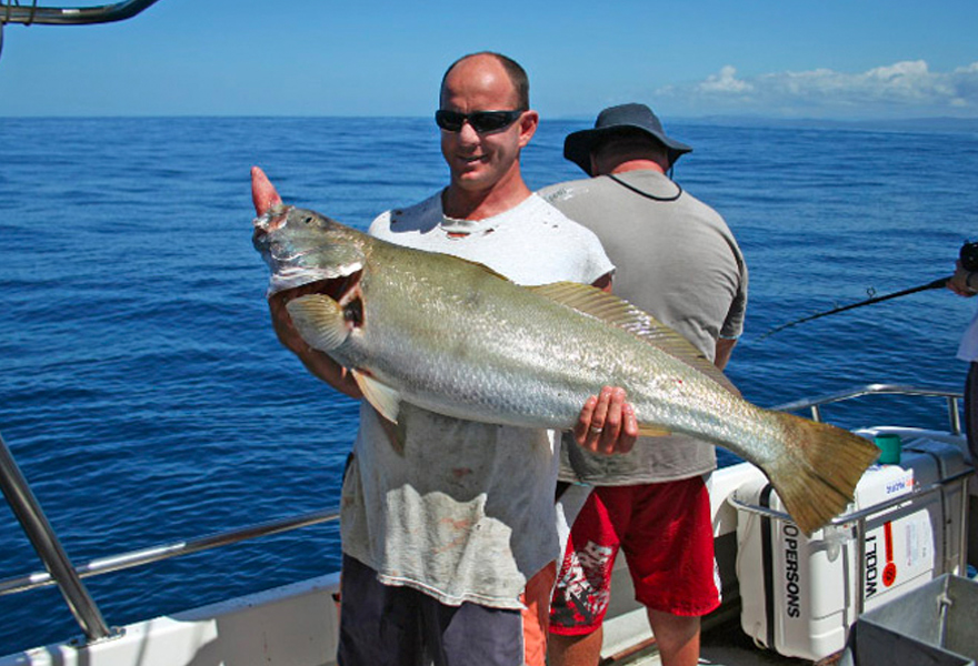 Wooli Deep Sea Fishing Charters
