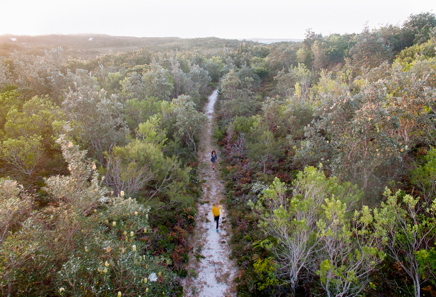 Coastal Walking tracks around Wooli NSW